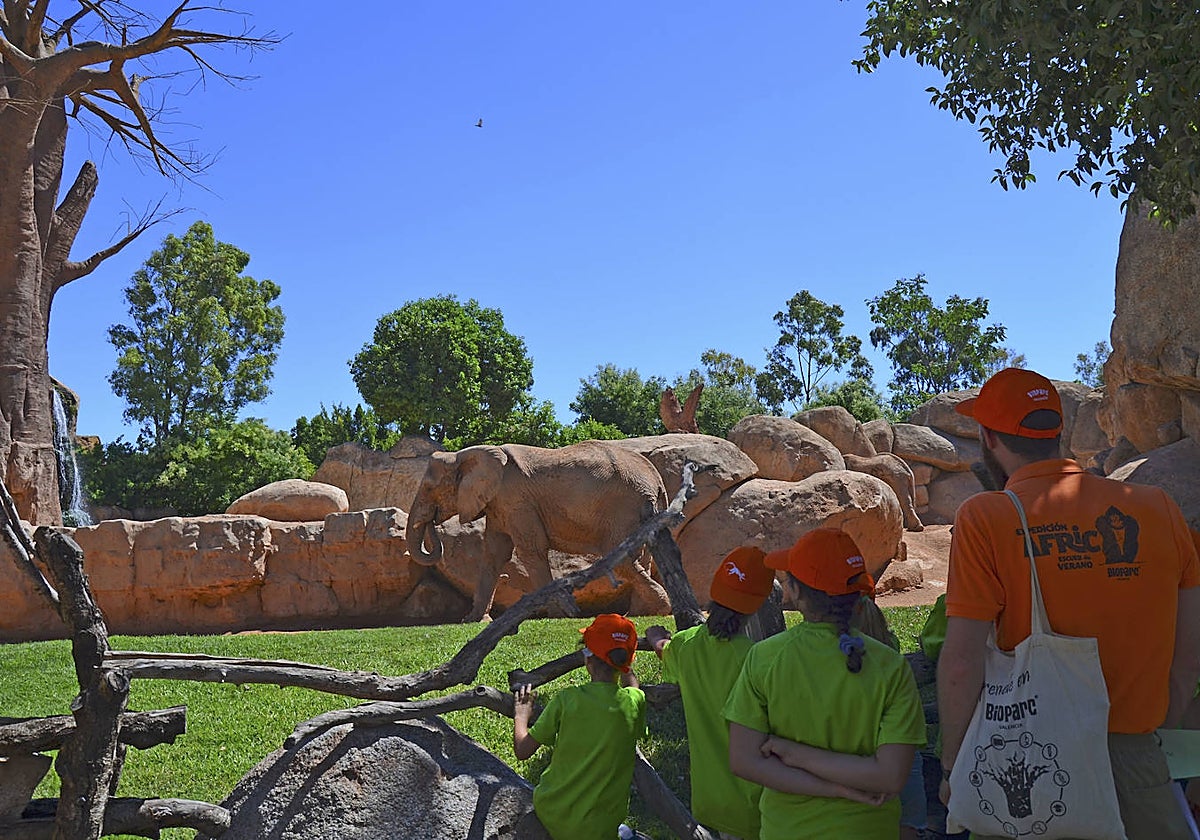 Imagen de un grupo de niños con su monitor en la escuela de vacaciones de Bioparc Valencia