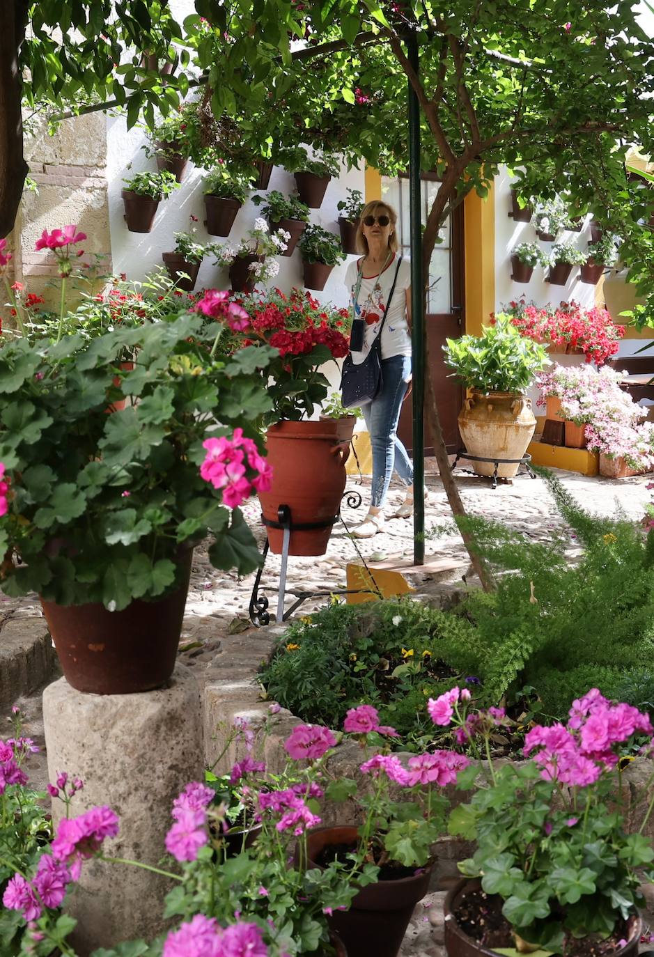 Patios de Córdoba 2023 | La intimidad de la ruta Regina-Realejo, en imágenes