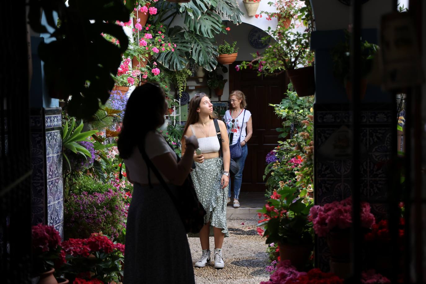 Patios de Córdoba 2023 | La intimidad de la ruta Regina-Realejo, en imágenes