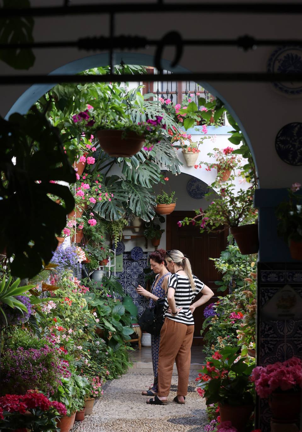 Patios de Córdoba 2023 | La intimidad de la ruta Regina-Realejo, en imágenes