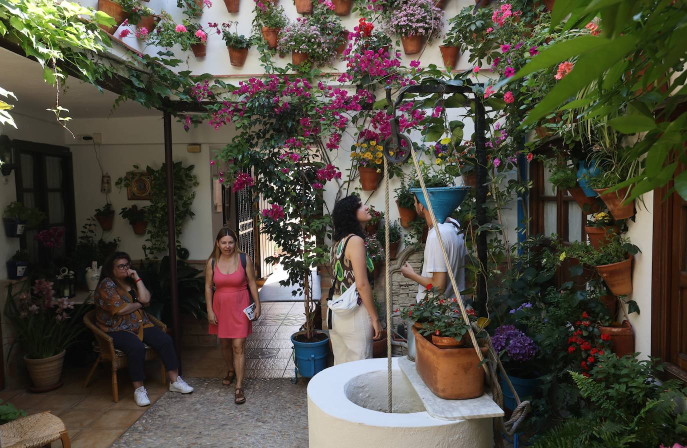 Patios de Córdoba 2023 | La intimidad de la ruta Regina-Realejo, en imágenes