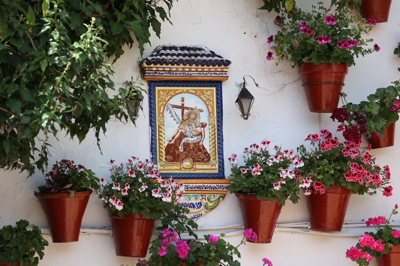 Patios de Córdoba 2023 | La intimidad de la ruta Regina-Realejo, en imágenes