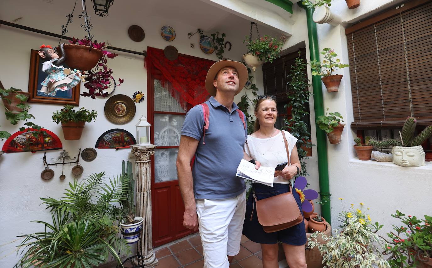 Patios de Córdoba 2023 | La intimidad de la ruta Regina-Realejo, en imágenes
