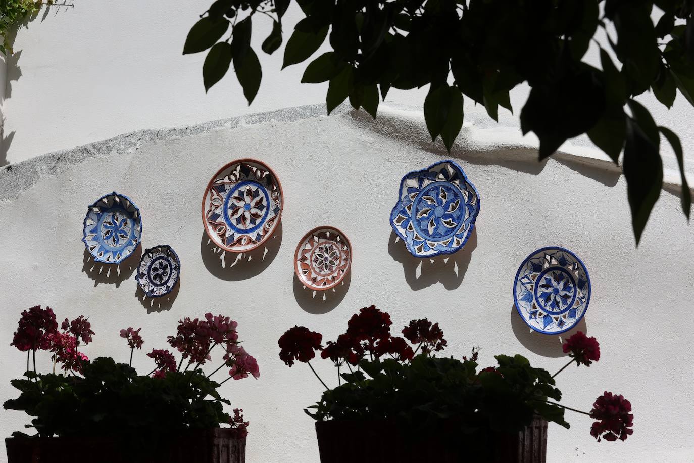 Patios de Córdoba 2023 | La intimidad de la ruta Regina-Realejo, en imágenes