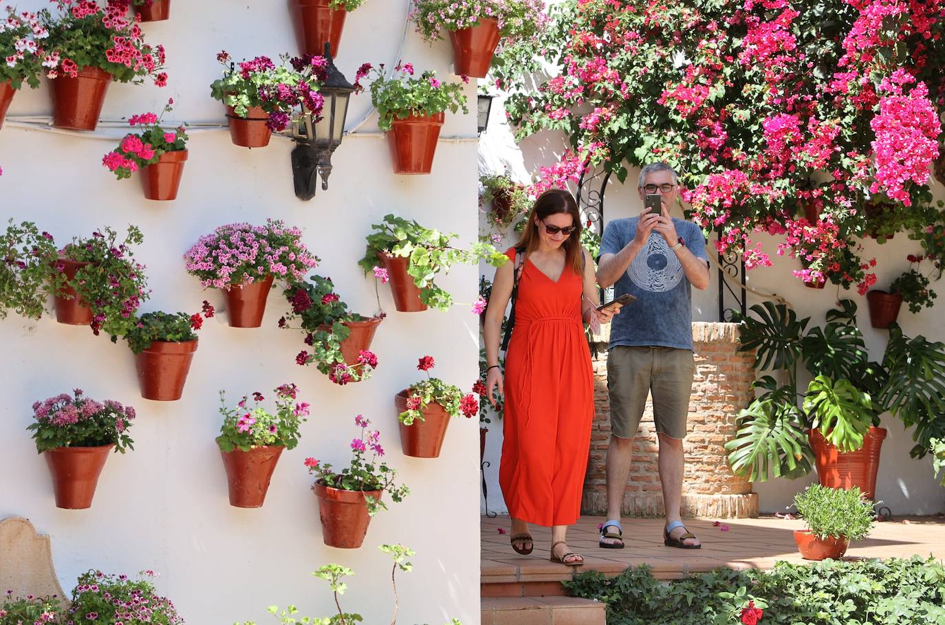 Patios de Córdoba 2023 | La intimidad de la ruta Regina-Realejo, en imágenes