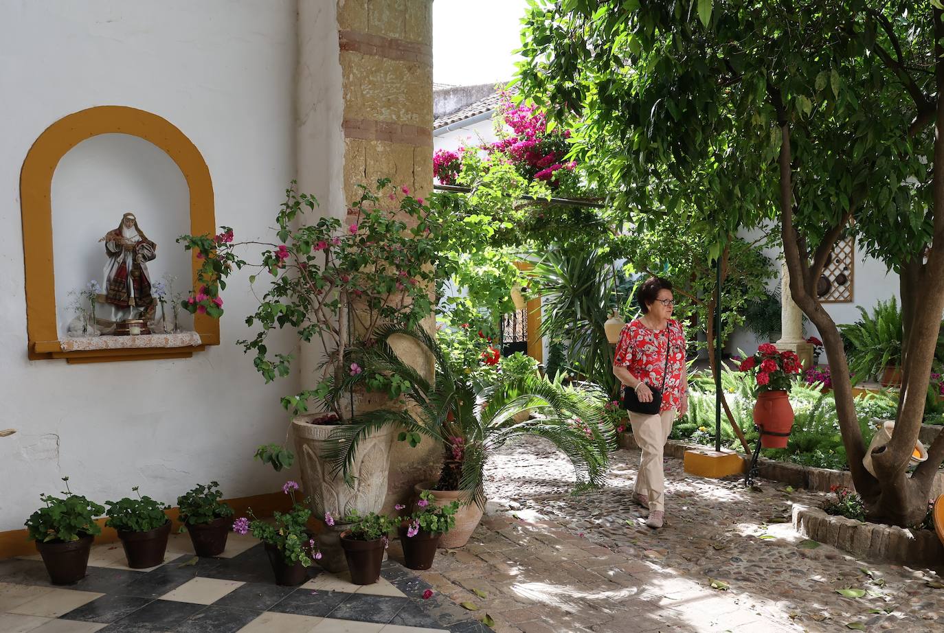 Patios de Córdoba 2023 | La intimidad de la ruta Regina-Realejo, en imágenes