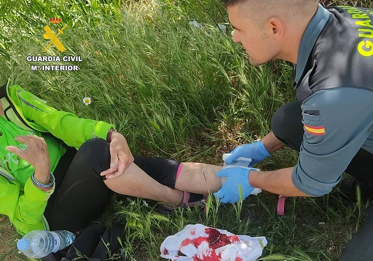 Un perro de pastoreo muerde a una peregrina italiana a su paso por El Perdigón (Zamora) mientras hacía el Camino de Santiago