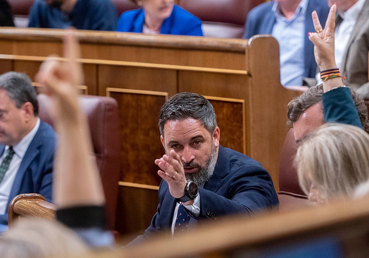 Abascal, durante una votación en el Congreso de los Diputados