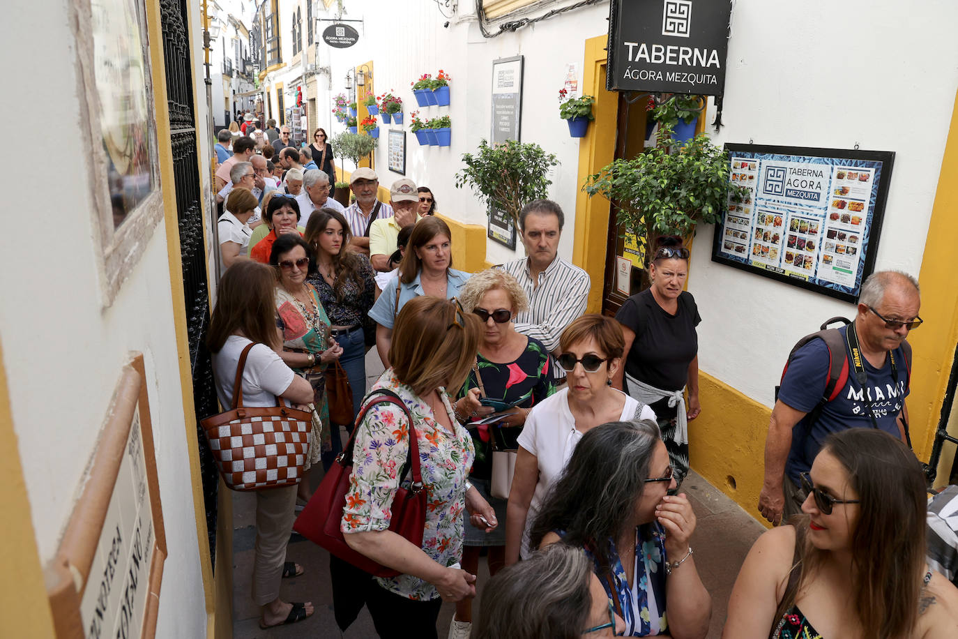 Patios Córdoba 2023 | Los detalles de la ruta Judería-San Francisco, en imágenes