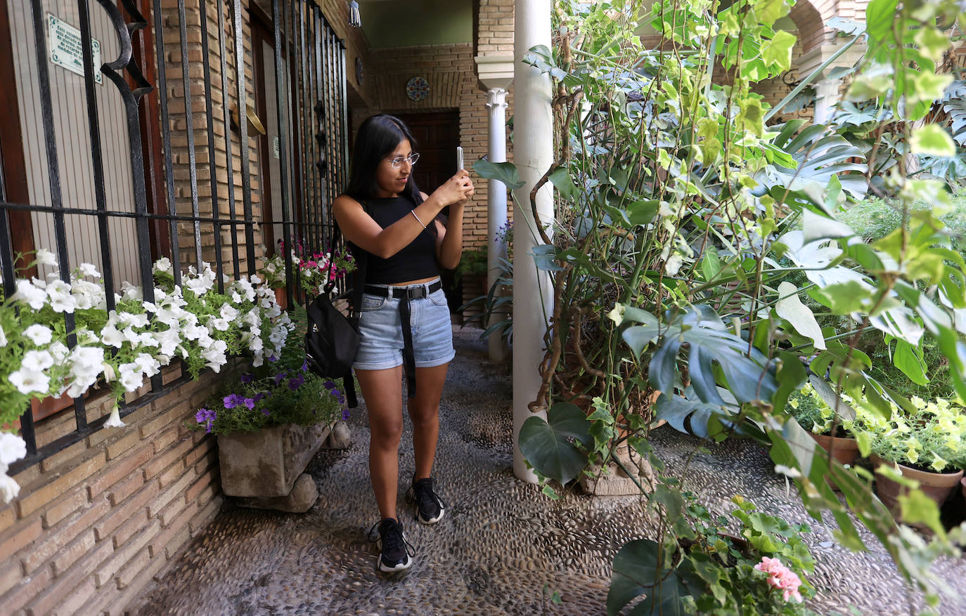 Patios Córdoba 2023 | Los detalles de la ruta Judería-San Francisco, en imágenes