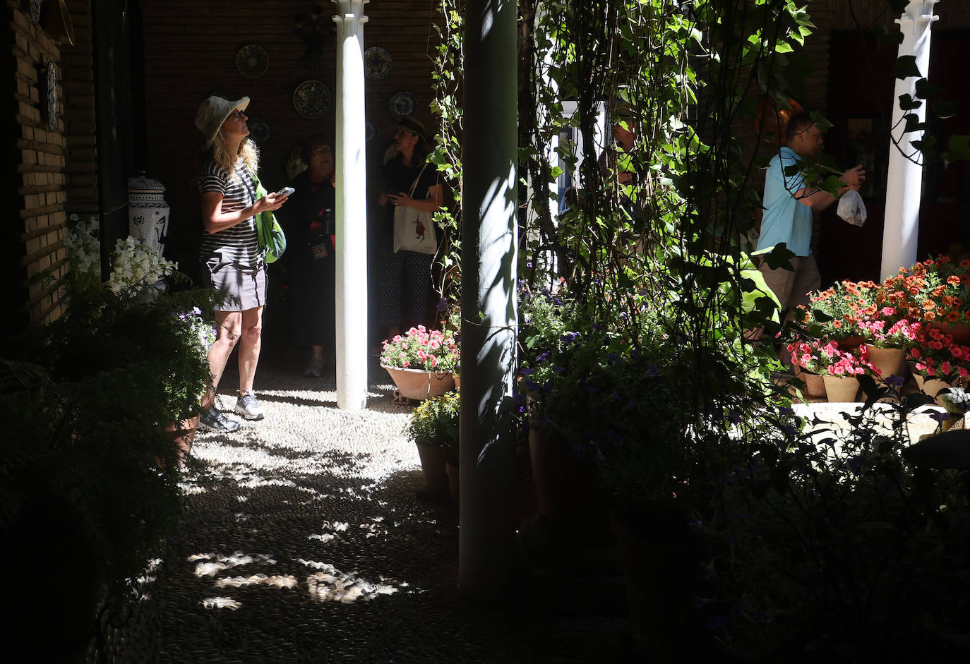 Patios Córdoba 2023 | Los detalles de la ruta Judería-San Francisco, en imágenes