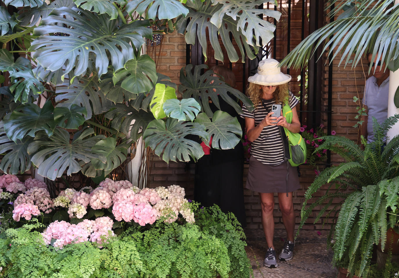 Patios Córdoba 2023 | Los detalles de la ruta Judería-San Francisco, en imágenes