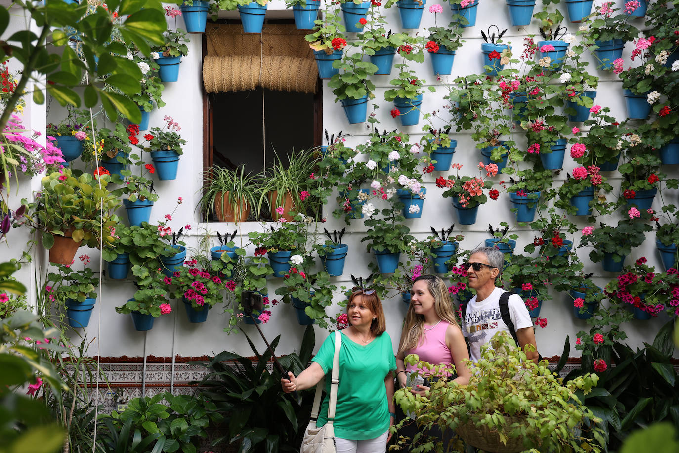 Patios Córdoba 2023 | Los detalles de la ruta Judería-San Francisco, en imágenes