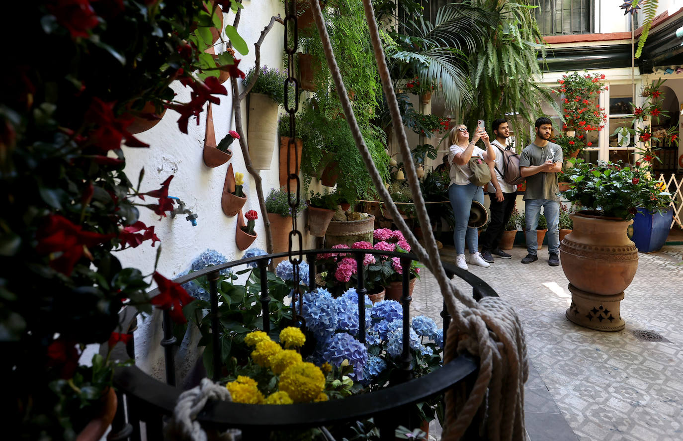 Patios Córdoba 2023 | Los detalles de la ruta Judería-San Francisco, en imágenes