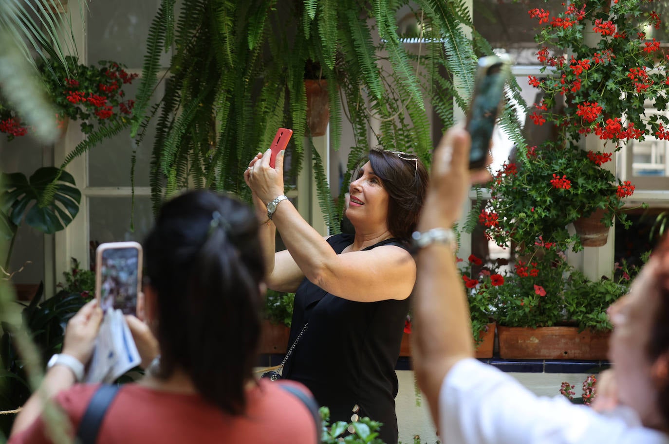 Patios Córdoba 2023 | Los detalles de la ruta Judería-San Francisco, en imágenes