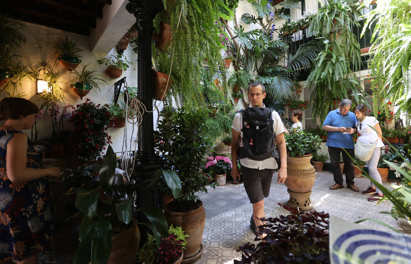 Patios Córdoba 2023 | Los detalles de la ruta Judería-San Francisco, en imágenes