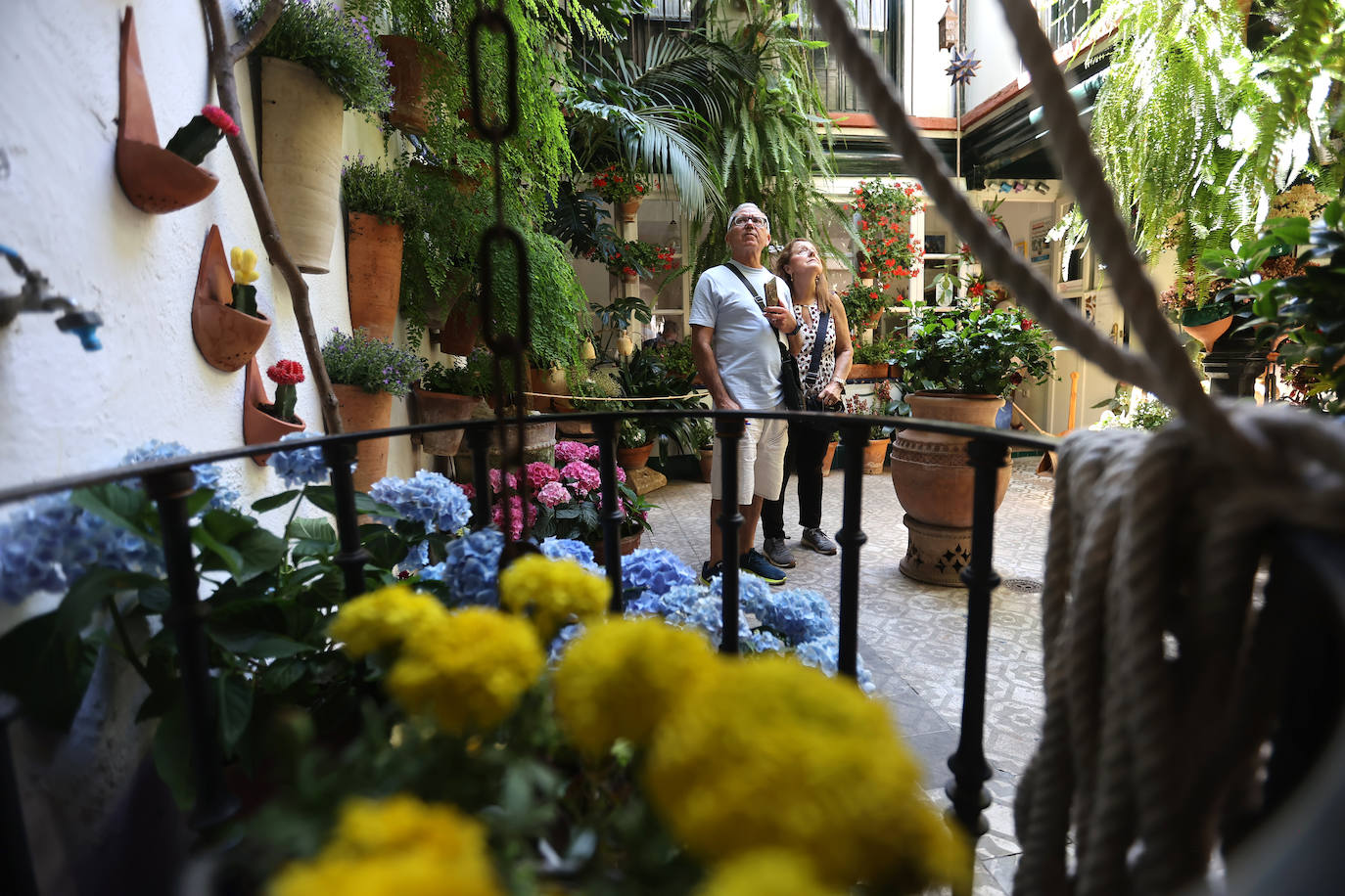 Patios Córdoba 2023 | Los detalles de la ruta Judería-San Francisco, en imágenes