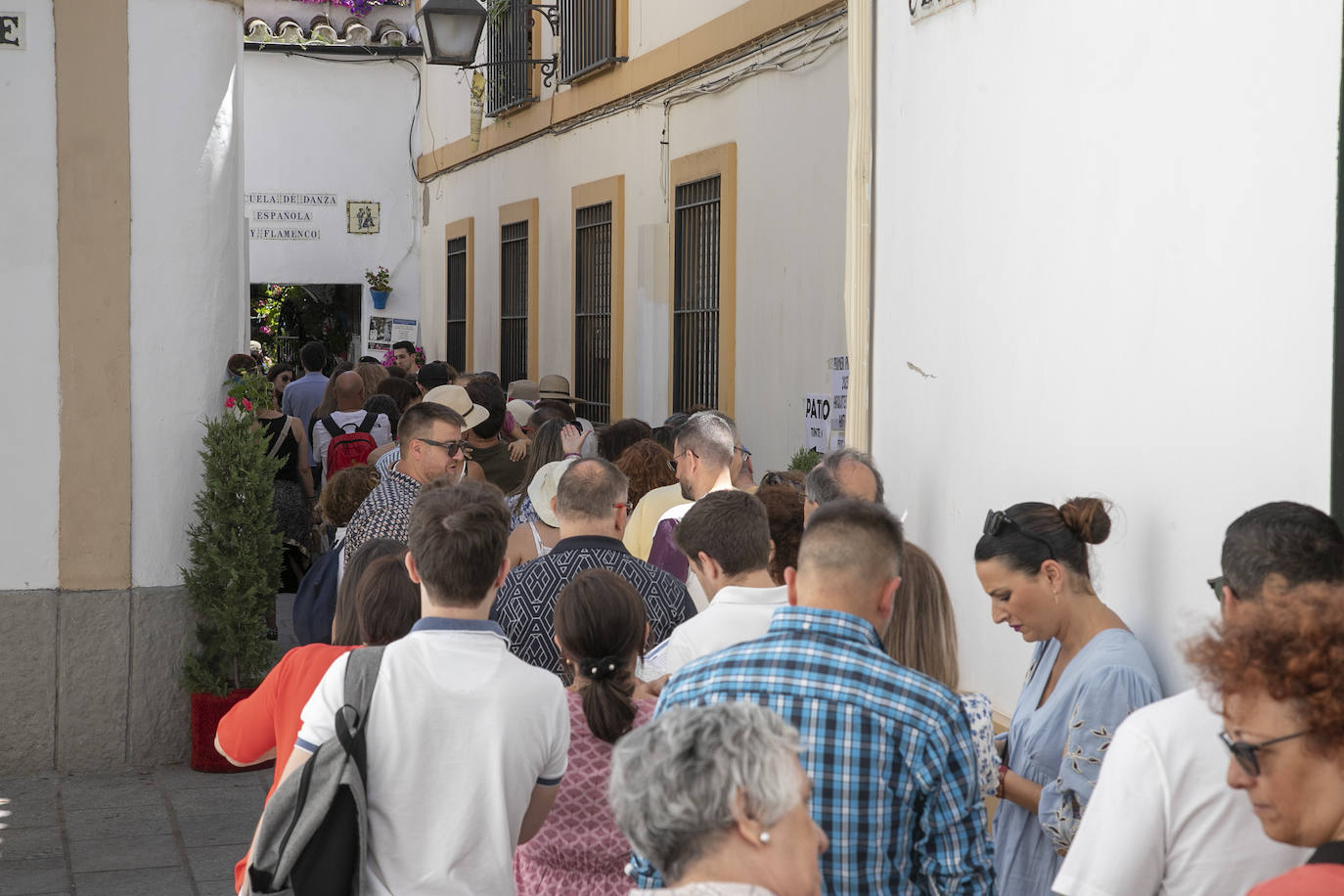 Los Patios llenan Córdoba este sábado de colas, en imágenes