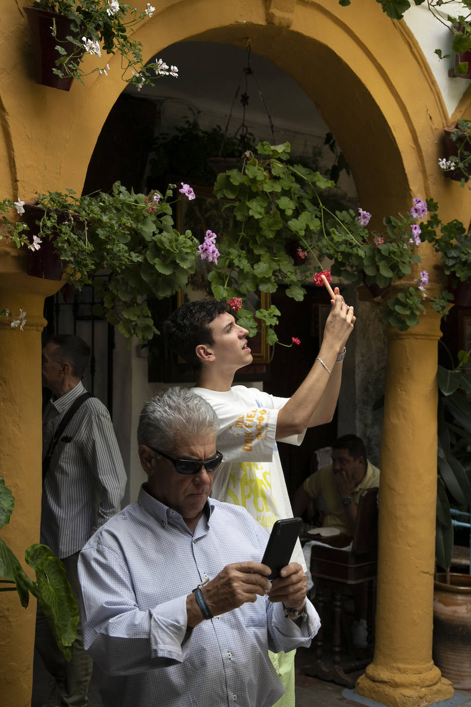 Los Patios llenan Córdoba este sábado de colas, en imágenes