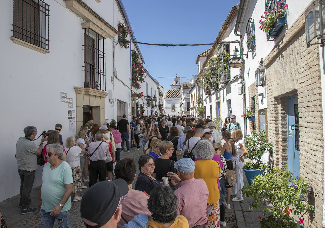 Los Patios llenan Córdoba este sábado de colas, en imágenes