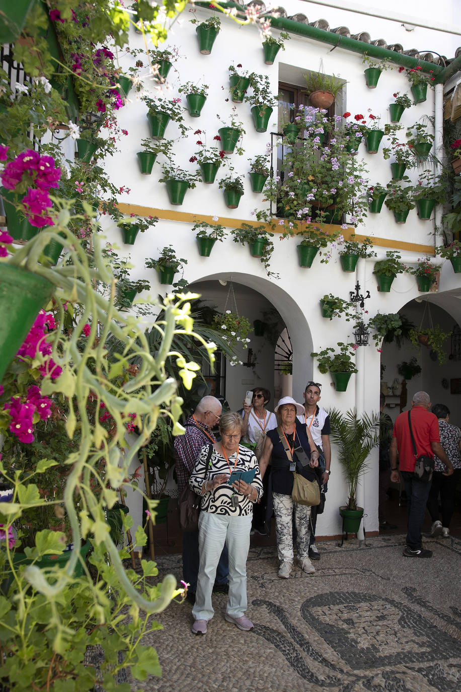 Los Patios llenan Córdoba este sábado de colas, en imágenes