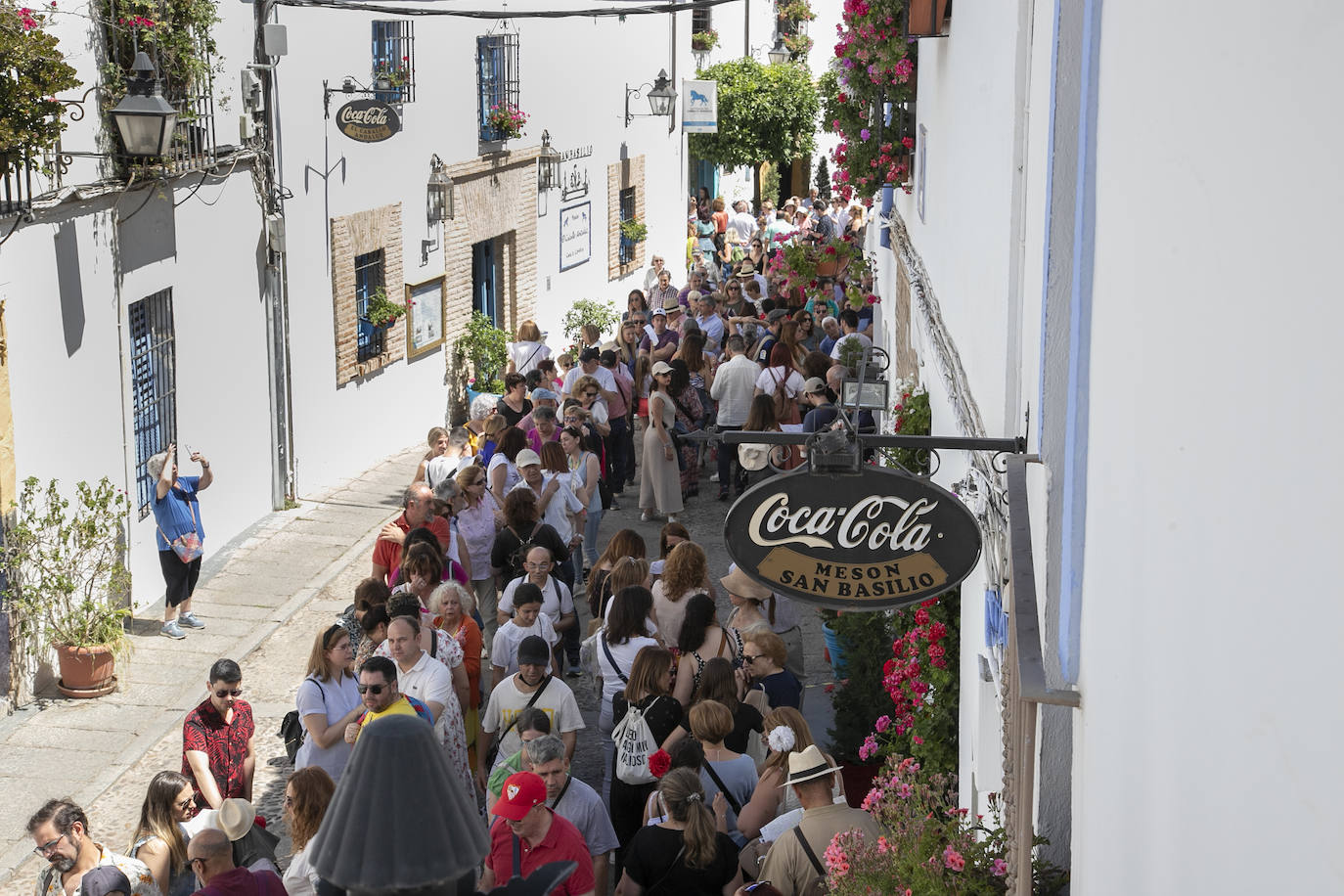 Los Patios llenan Córdoba este sábado de colas, en imágenes