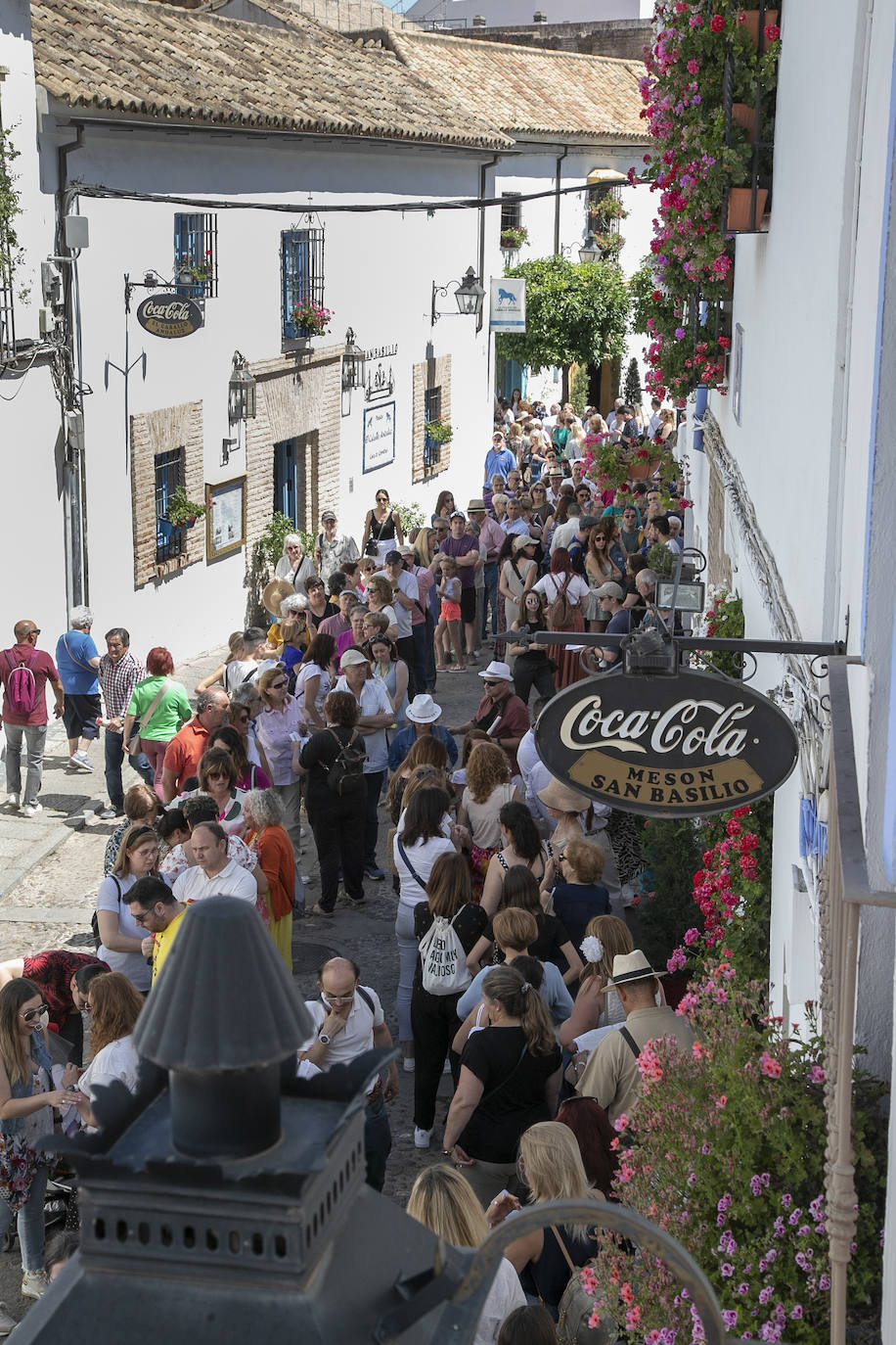 Los Patios llenan Córdoba este sábado de colas, en imágenes
