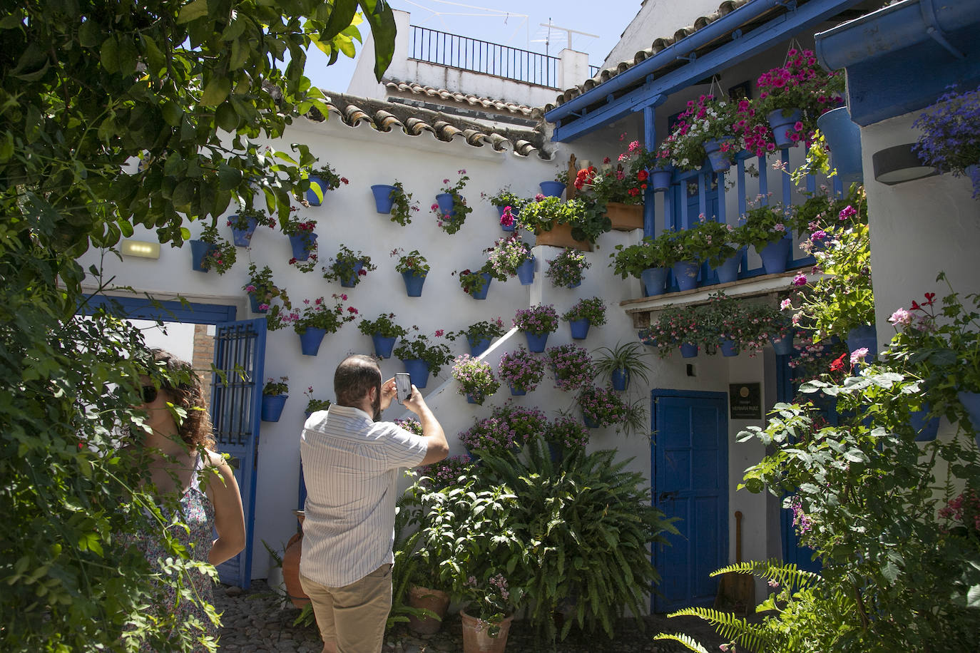 Los Patios llenan Córdoba este sábado de colas, en imágenes