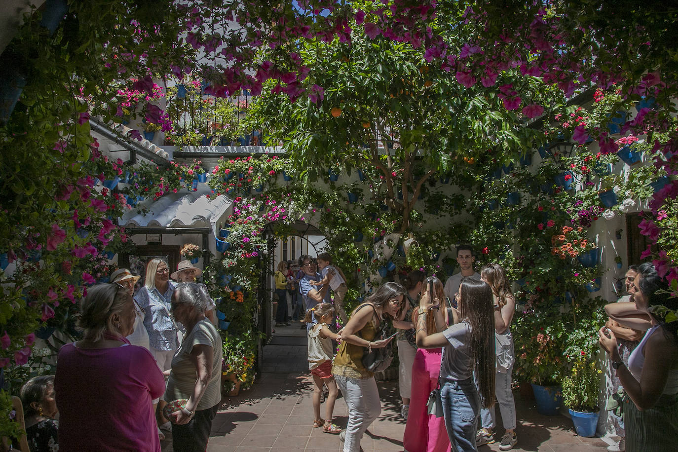 Los Patios llenan Córdoba este sábado de colas, en imágenes