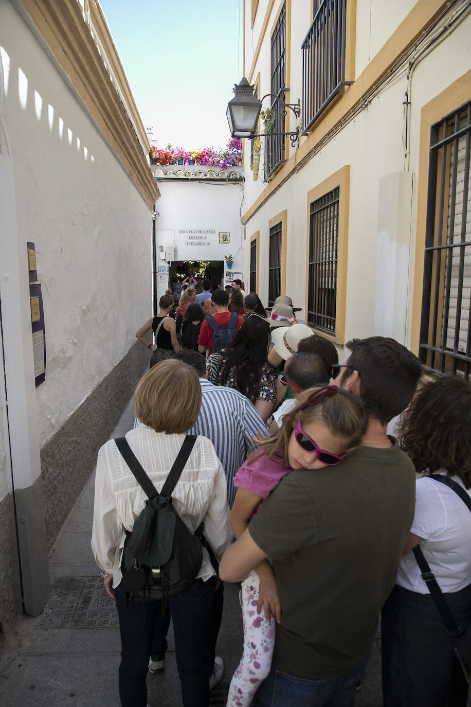 Los Patios llenan Córdoba este sábado de colas, en imágenes