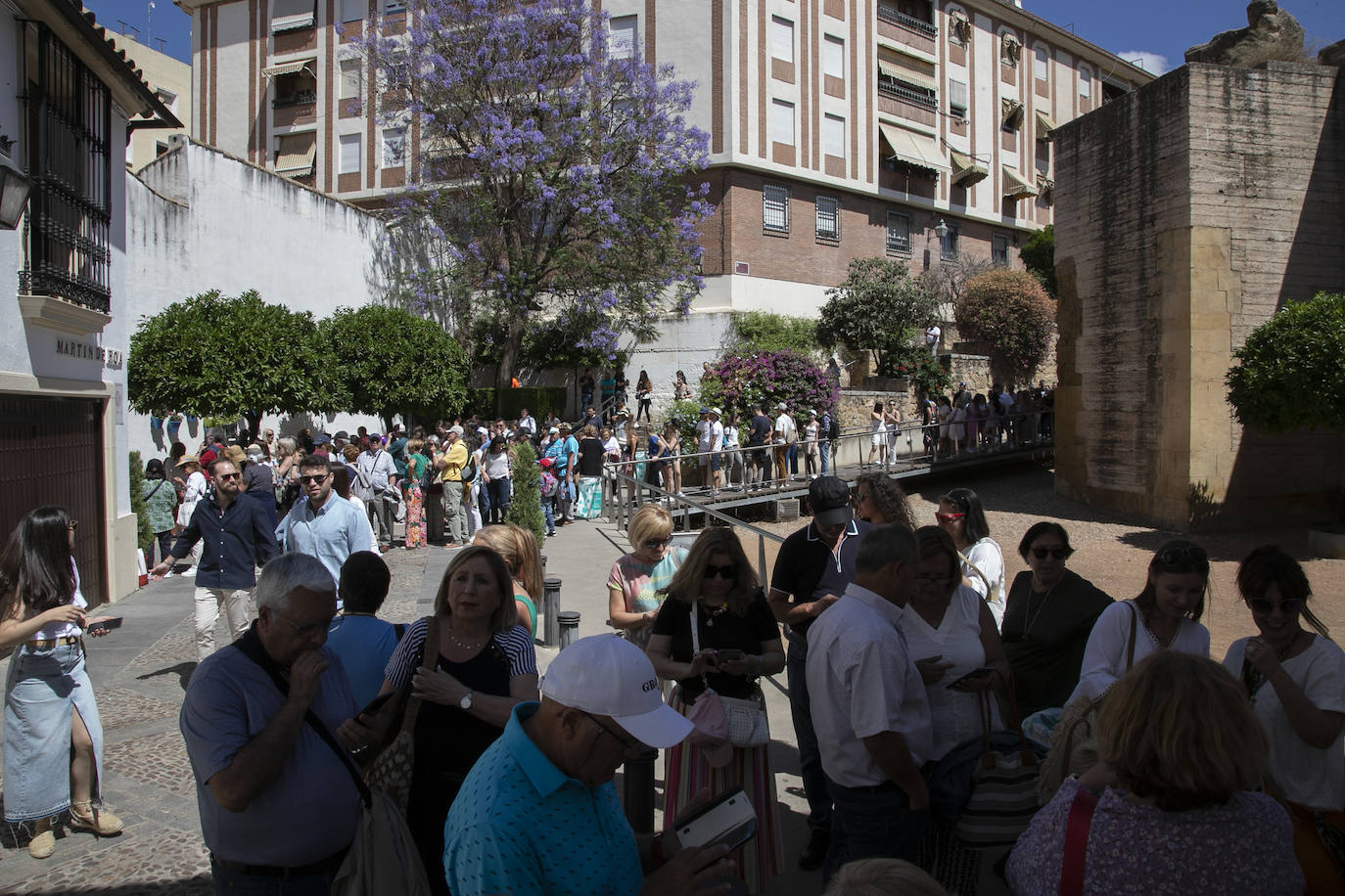Los Patios llenan Córdoba este sábado de colas, en imágenes