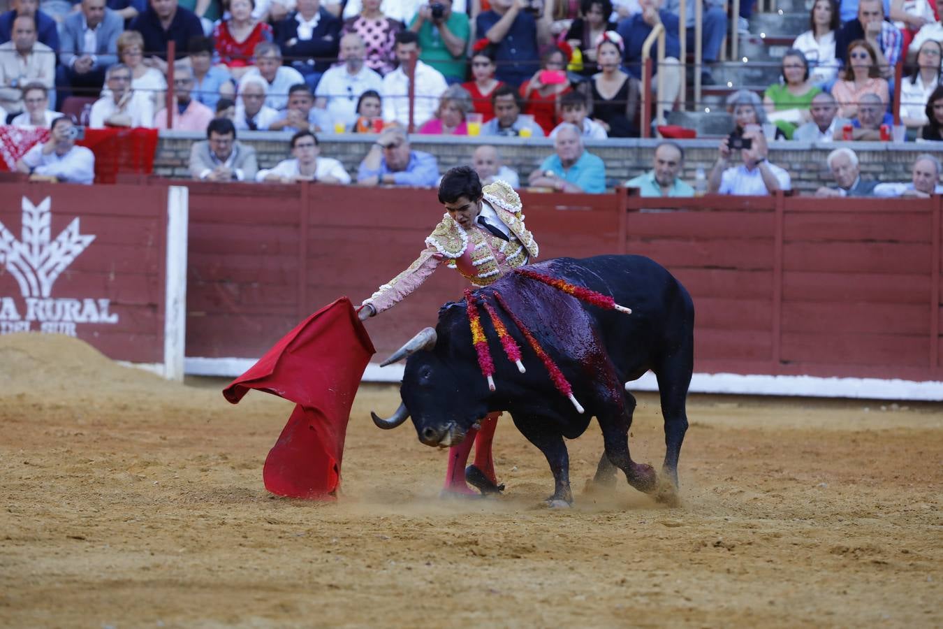 El triunfo de Manuel Román en su debú en la plaza de toros de Córdoba, en imágenes