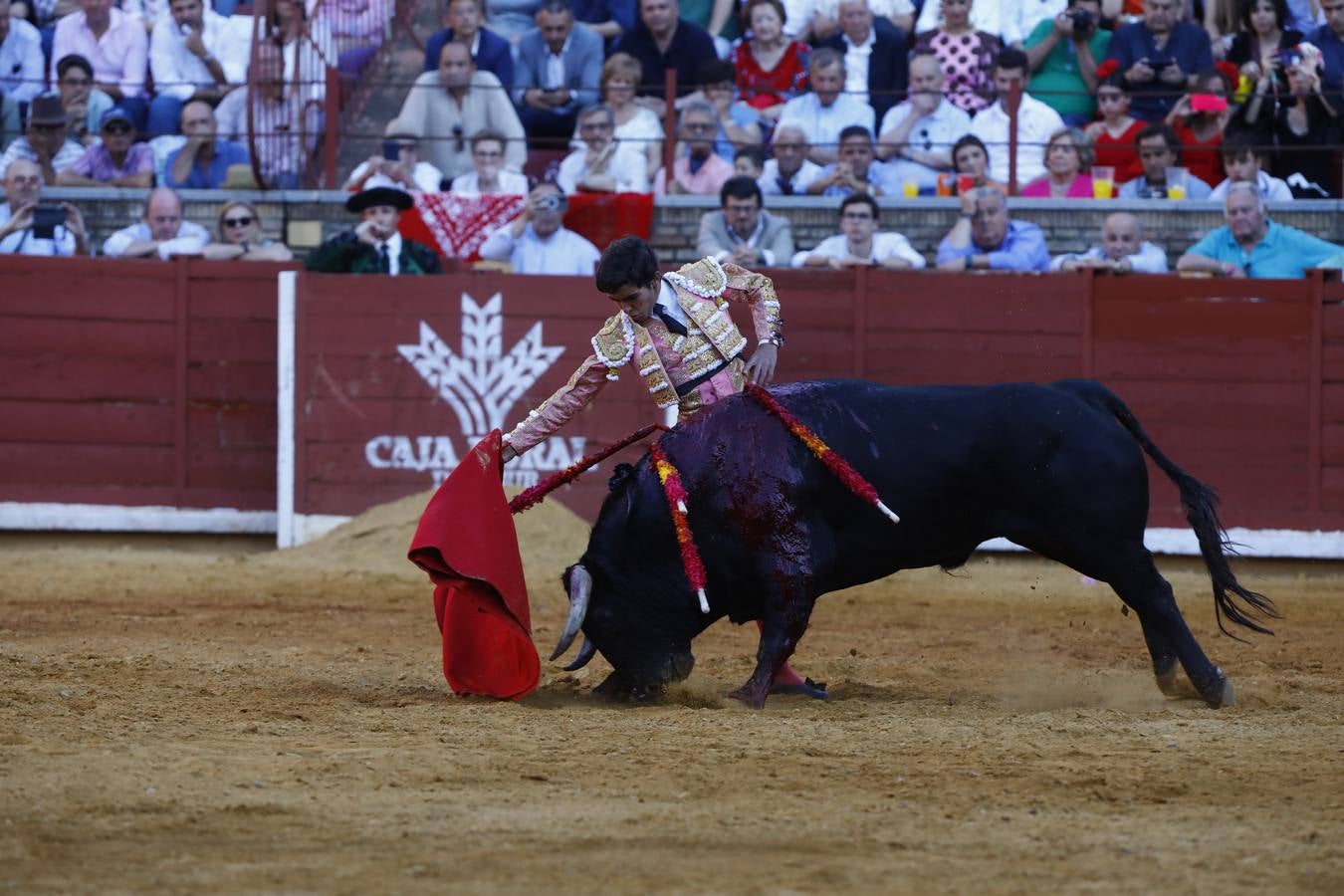 El triunfo de Manuel Román en su debú en la plaza de toros de Córdoba, en imágenes