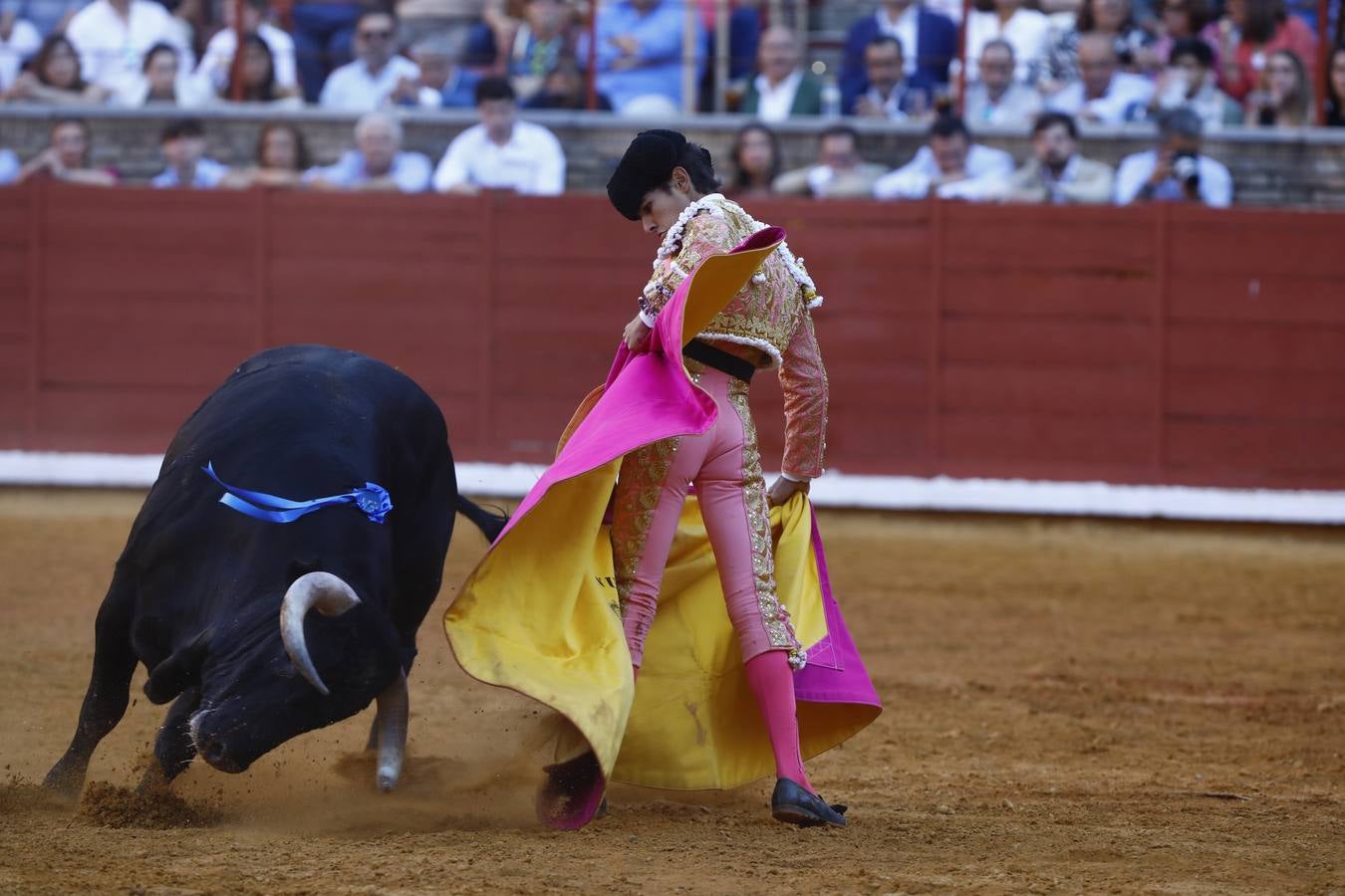 El triunfo de Manuel Román en su debú en la plaza de toros de Córdoba, en imágenes