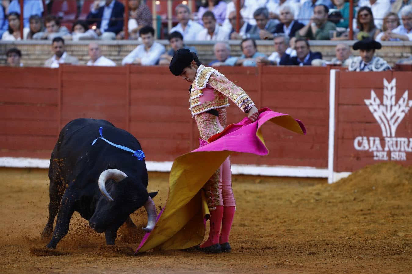 El triunfo de Manuel Román en su debú en la plaza de toros de Córdoba, en imágenes
