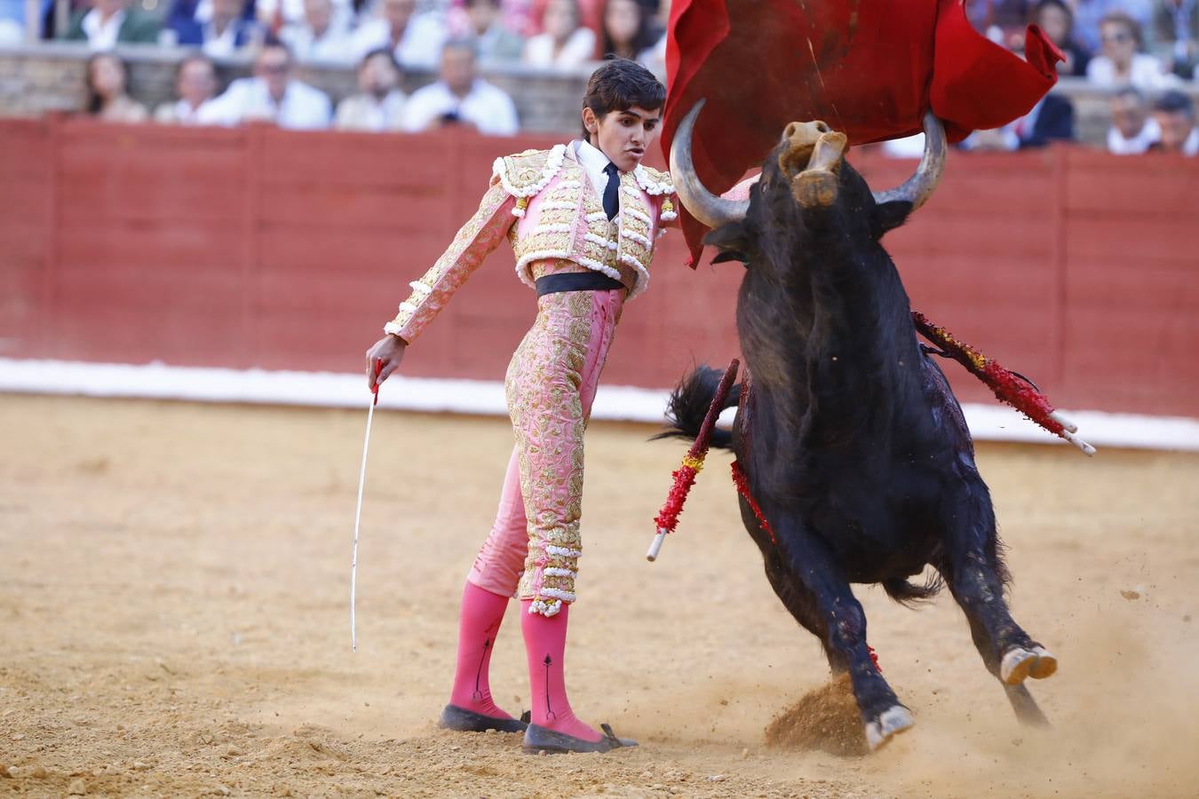 El triunfo de Manuel Román en su debú en la plaza de toros de Córdoba, en imágenes