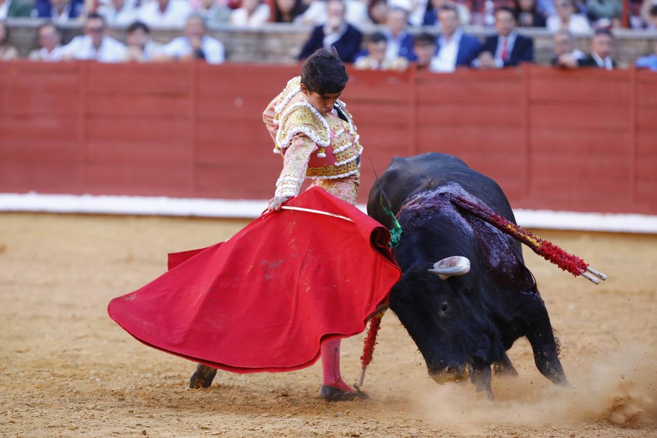 El triunfo de Manuel Román en su debú en la plaza de toros de Córdoba, en imágenes