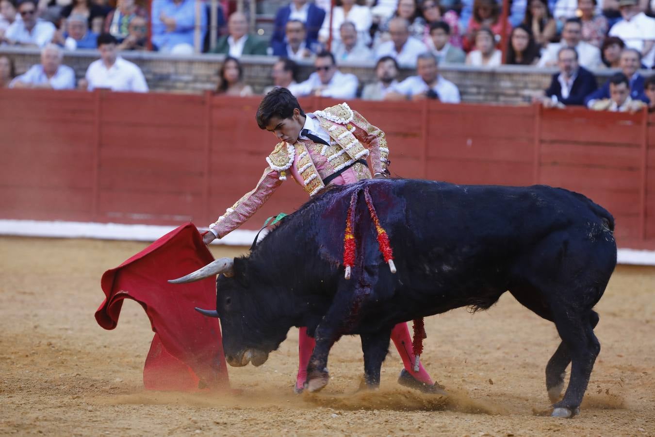 El triunfo de Manuel Román en su debú en la plaza de toros de Córdoba, en imágenes