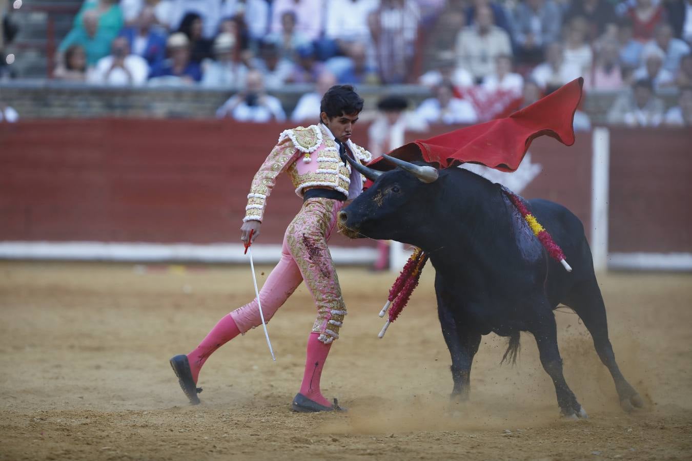El triunfo de Manuel Román en su debú en la plaza de toros de Córdoba, en imágenes