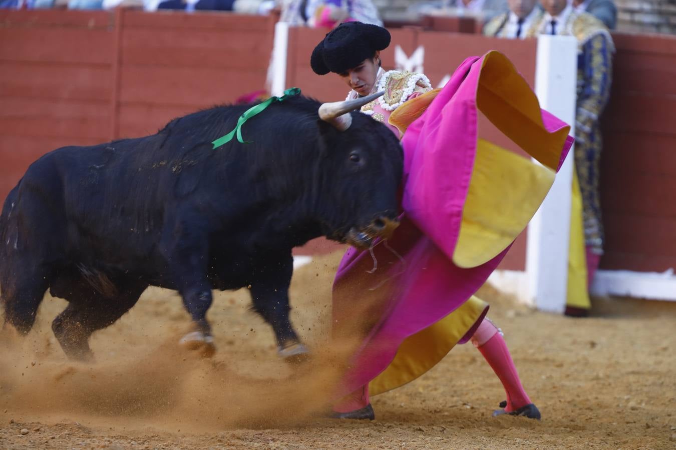 El triunfo de Manuel Román en su debú en la plaza de toros de Córdoba, en imágenes