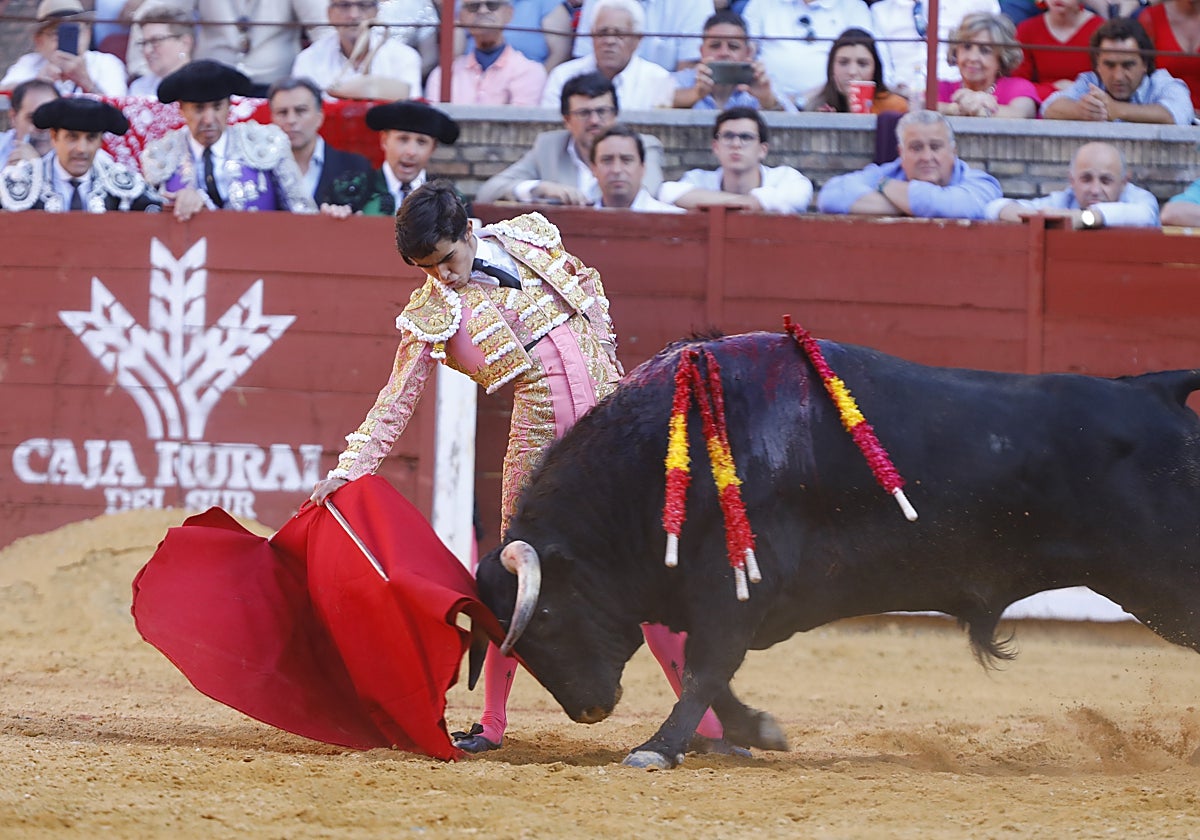 Manuel Román con la muleta en uno de los novillos del encierro en Córdoba