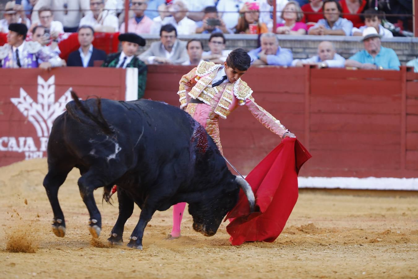 El triunfo de Manuel Román en su debú en la plaza de toros de Córdoba, en imágenes