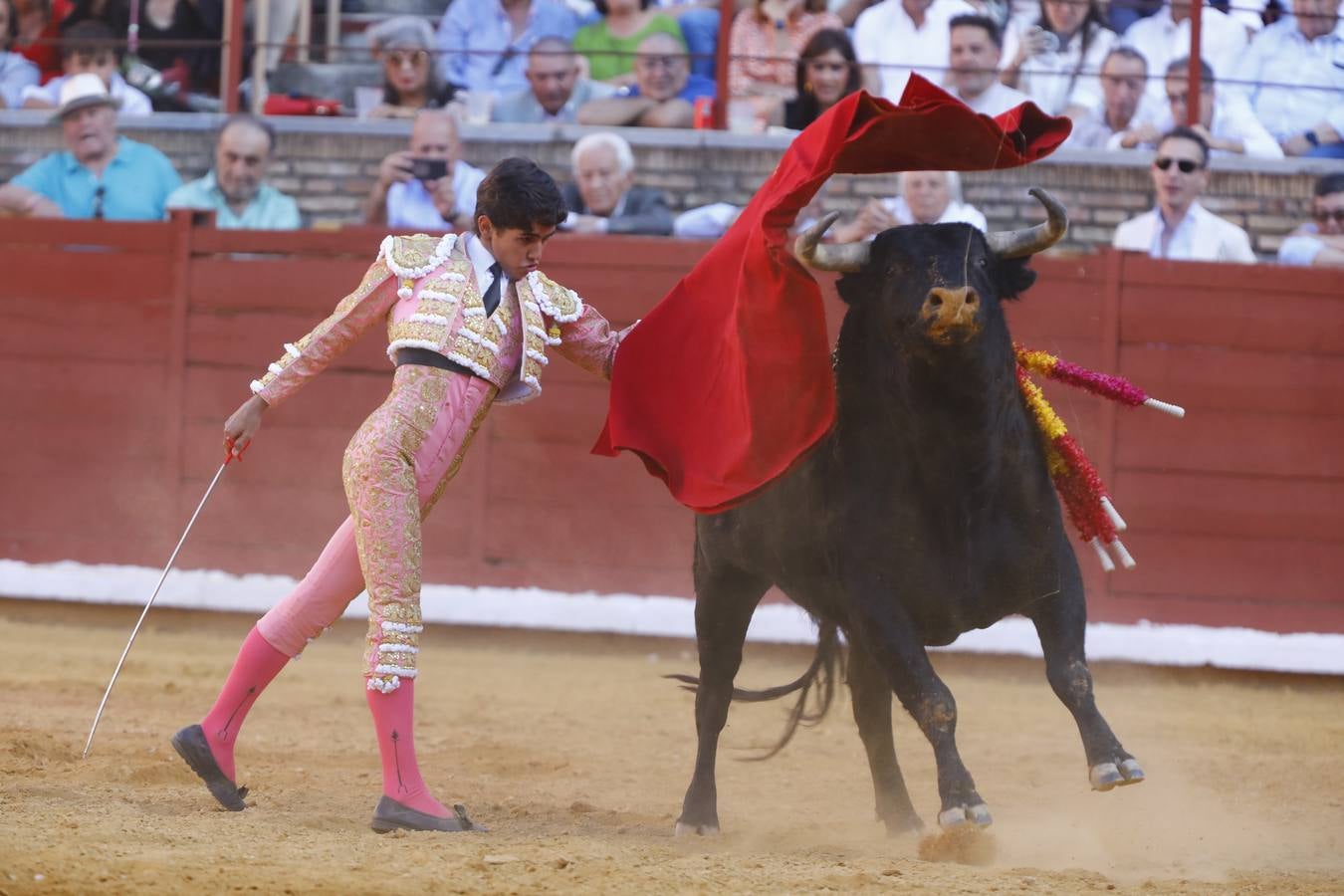 El triunfo de Manuel Román en su debú en la plaza de toros de Córdoba, en imágenes