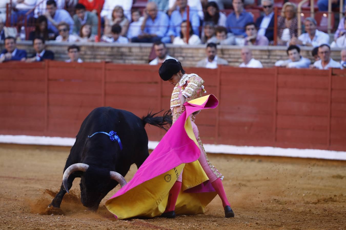 El triunfo de Manuel Román en su debú en la plaza de toros de Córdoba, en imágenes