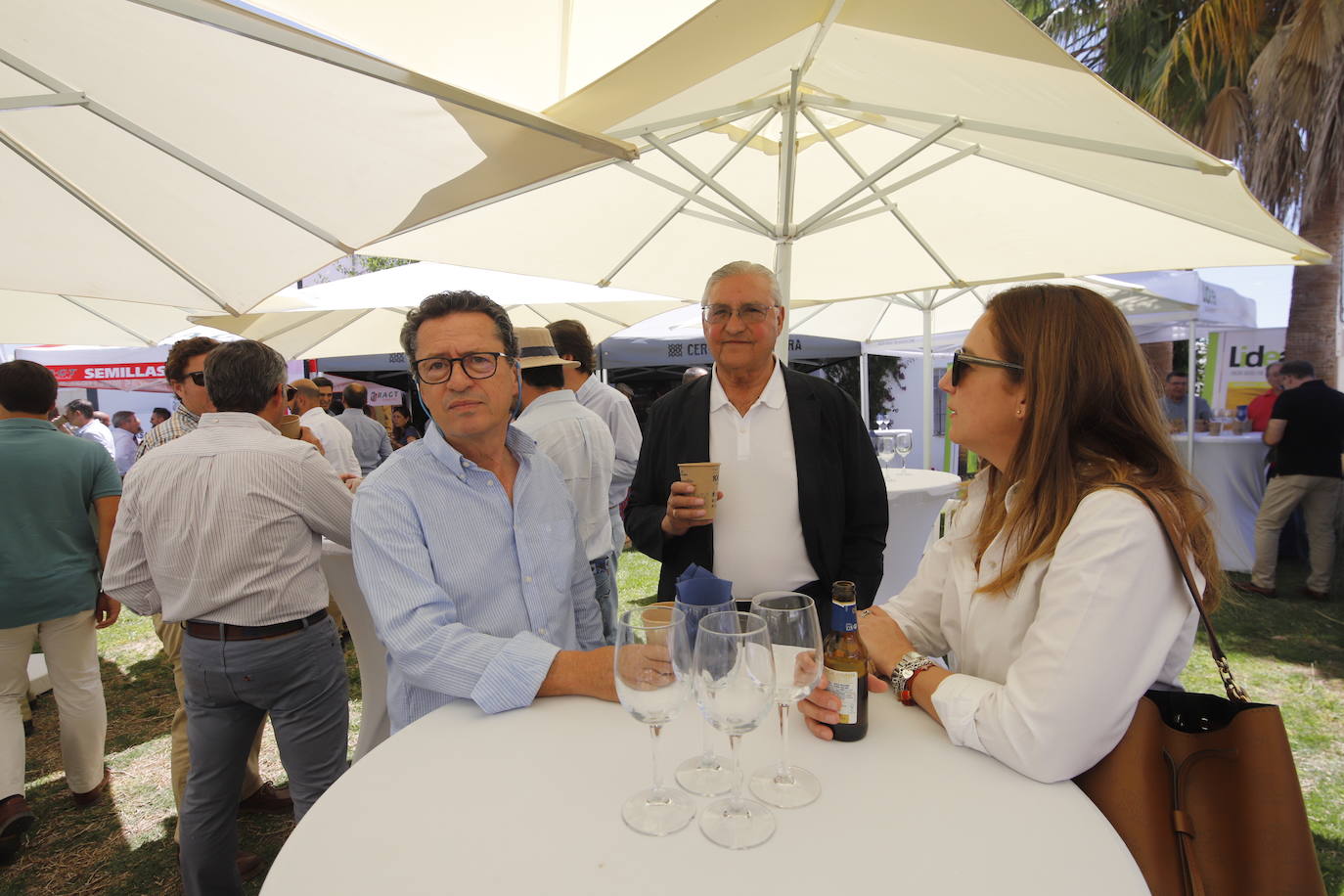 La celebración de San Isidro Labrador en Córdoba, en imágenes