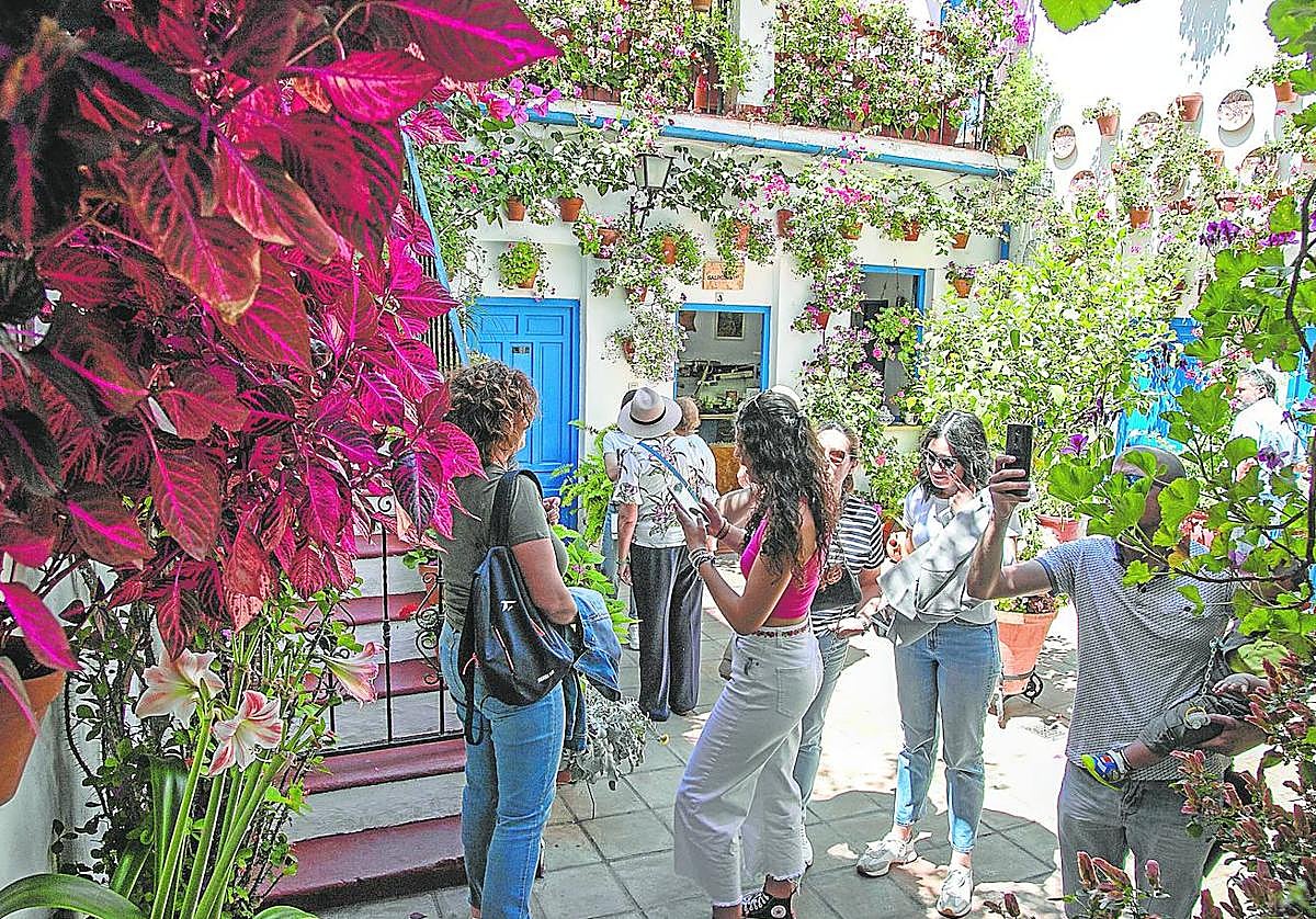Visitantes en los Patios de Córdoba 2023 este pasado sábado