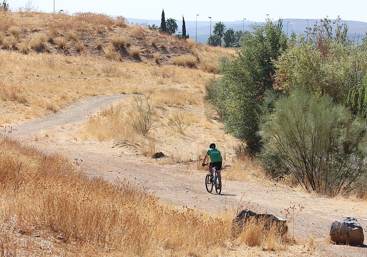 Colina en la que se ubicará la segunda fase del parque de Levante