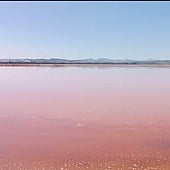 Científicos descubren el poder anticancerígeno del pigmento rosado del agua de las Salinas de Santa Pola