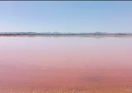 Científicos descubren el poder anticancerígeno del pigmento rosado del agua de las Salinas de Santa Pola