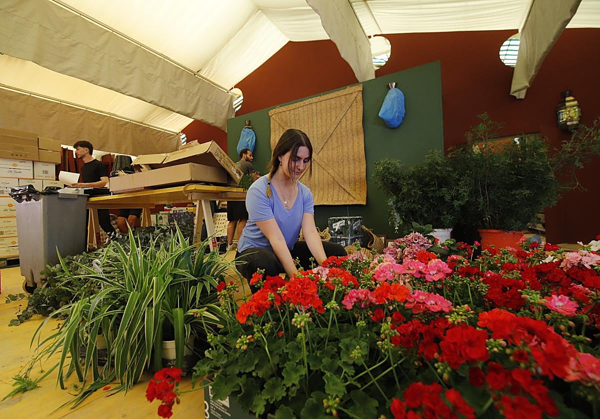 Los responsables de una caseta, ultimando los preparativos antes de la inauguración de la Feria de Córdoba